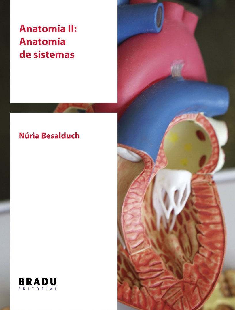 Anatomia II - portada